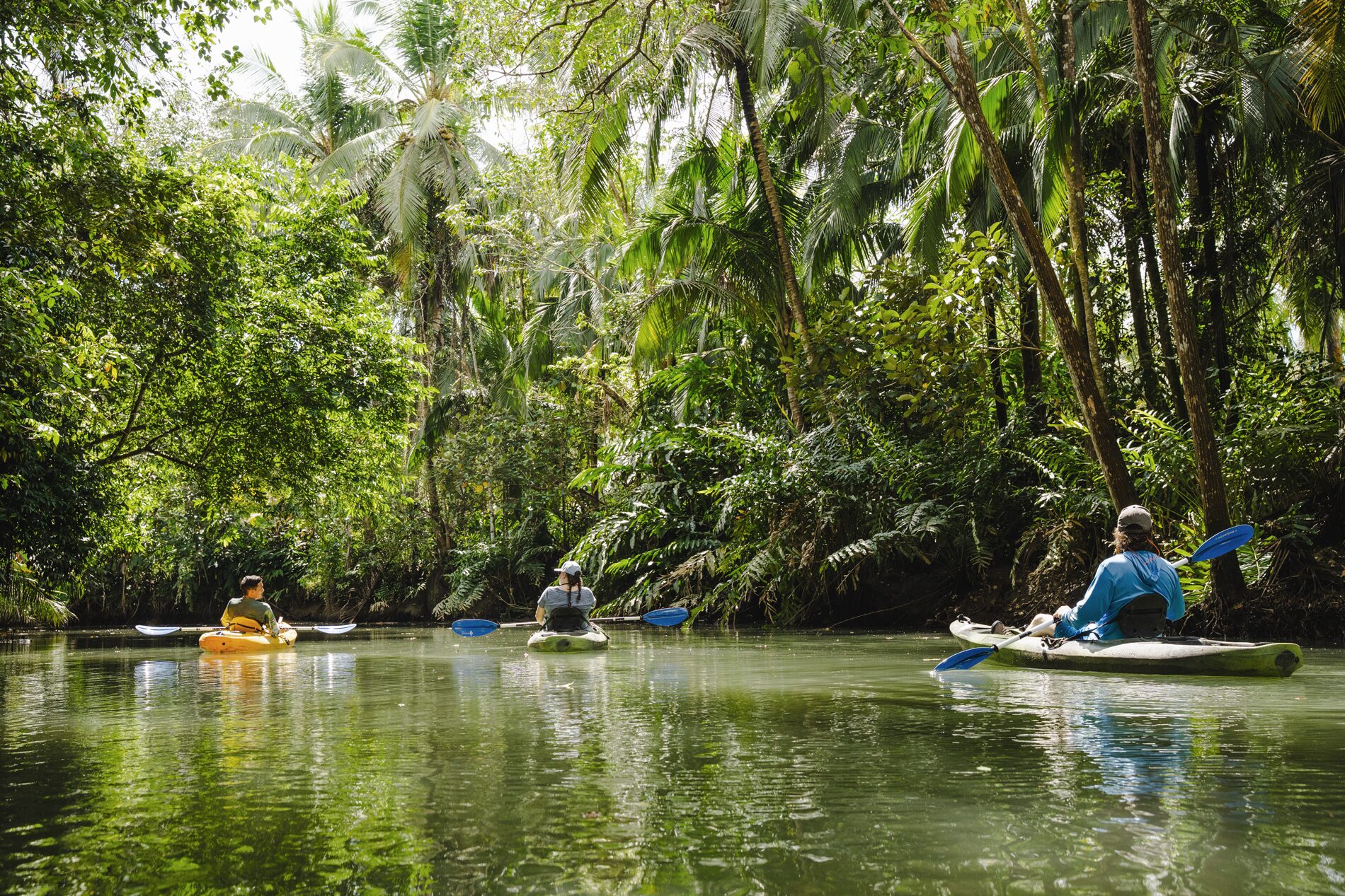 MANGROVE-kayak-pic